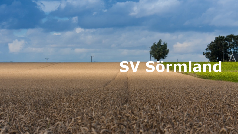 Ett stort sädesfält under en blå himmel med några träd och texten 'SV Sörmland' i vitt.