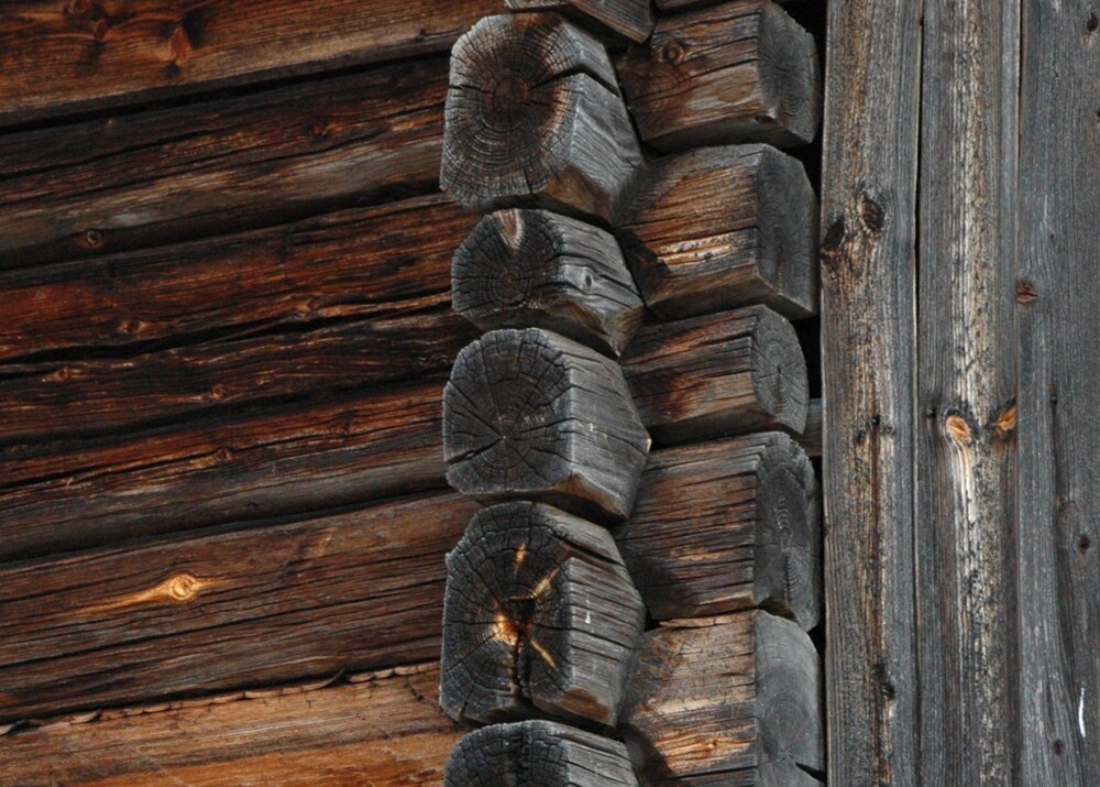 Närbild av ett hörn på en timrad träbyggnad med synliga stockar och väderbitet trä.