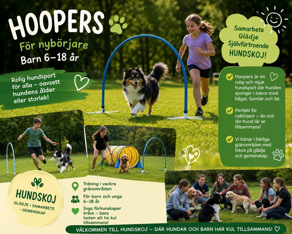 Barn och hundar tränar hoopers hundsport utomhus på gräsmatta, med tunnlar och bågar, i grupp och individuellt.