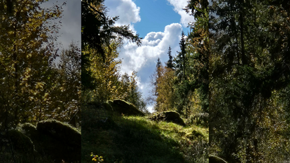 Solbelyst skogsglänta med grönt gräs, stora stenar och träd, under en blå himmel med vita moln.