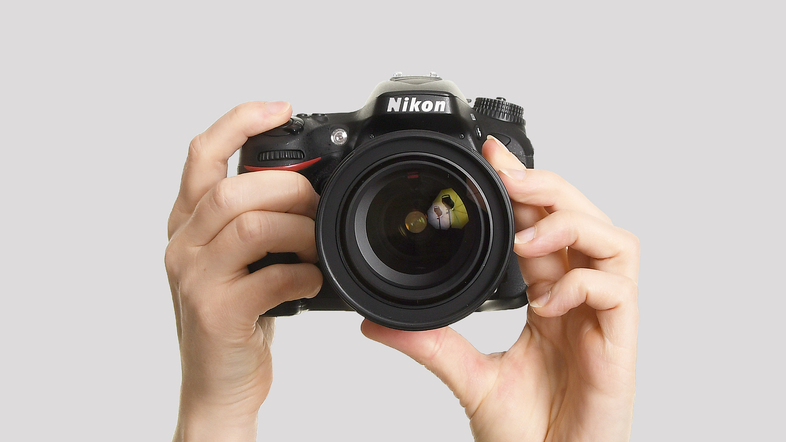 Två händer håller en Nikon-systemkamera mot en ljus bakgrund.