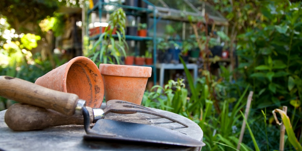Trädgårdsredskap och lerkrukor på ett bord i en grönskande trädgård med växthus i bakgrunden.