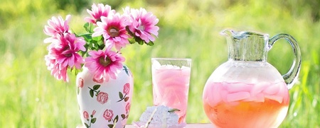 En kanna och ett glas med rosa dryck, en vas med rosa blommor på ett bord utomhus i solsken.