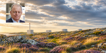 Solnedgång över ett kustlandskap med blommor, klippor och betongbyggnader. Infälld bild på en man med suddat ansikte.