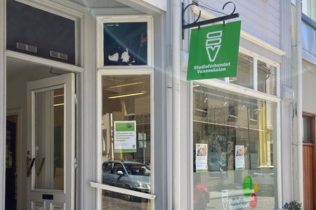 Entré till en glassbutik med grön skylt på en solig gata, bänk utanför och stora fönster.