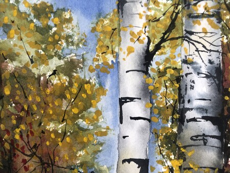 Akvarellmålning av två björkstammar med gula höstlöv och blå himmel i bakgrunden.