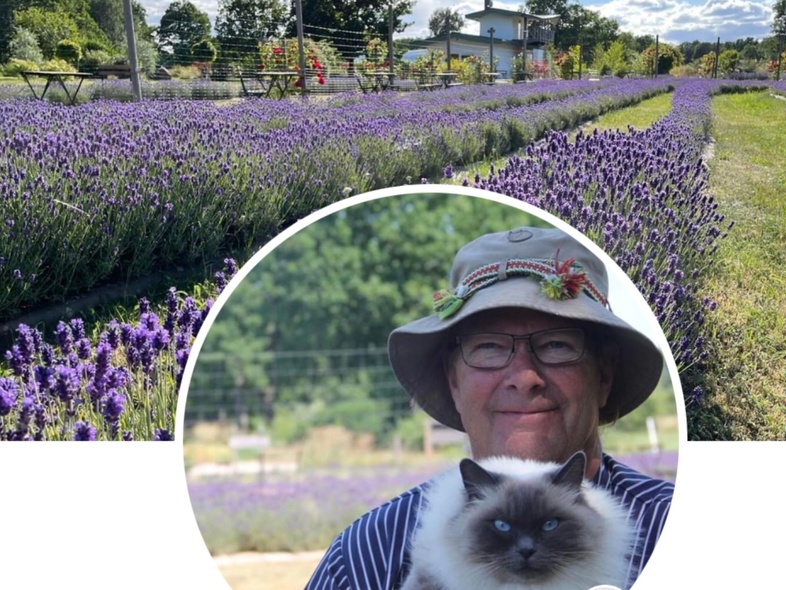 En person med hatt och glasögon håller en katt framför ett fält av blommande lavendel.