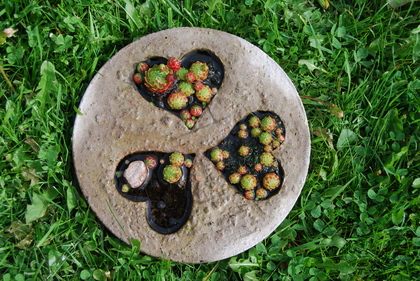 Rund stenplatta med tre hjärtformade urgröpningar fyllda med små suckulenter, placerad på gräs.