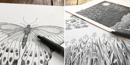 Två svartvita teckningar, en av en fjäril och en av natur med gräs och träd, ritade med finelinerpenna.