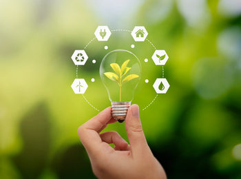 En hand håller en glödlampa med en växt inuti, omgiven av ikoner för hållbarhet och miljö.
