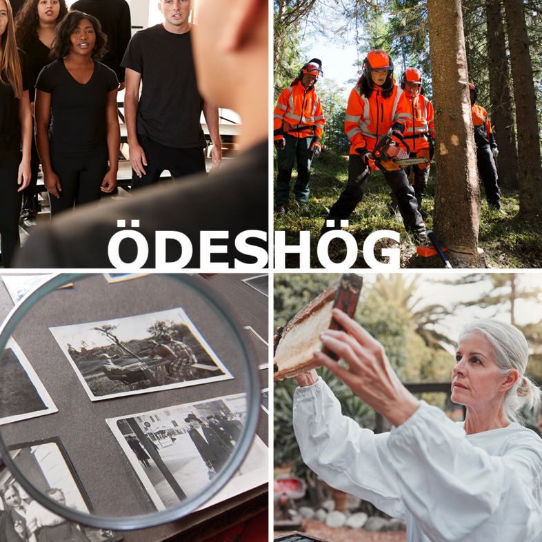 Fyra bilder: körsång, skogsarbetare, gamla foton under förstoringsglas och kvinna i biodlardräkt. Texten Ödeshög i mitten.