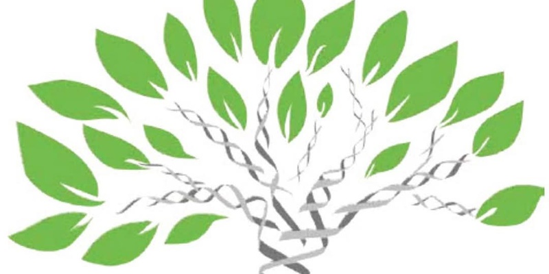 Släktforskning med DNA – Hur funkar det? - Föreläsning/berättarkväll Svenstavik