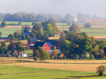 Landskapsvy över en lantlig by med röda hus, gröna fält och träd i morgondimma.
