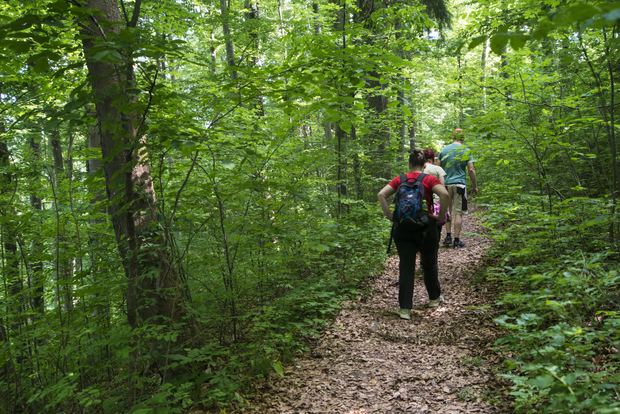 Två personer vandrar på en skogsstig omgivna av grönska och träd.