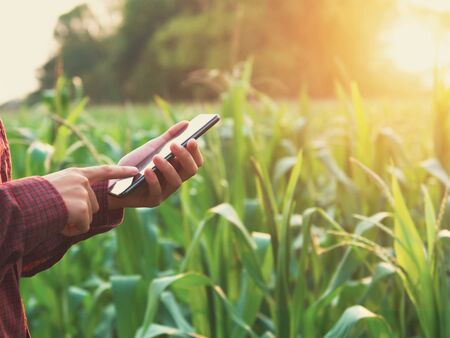 En person står framför en åker och tittar i mobilen.