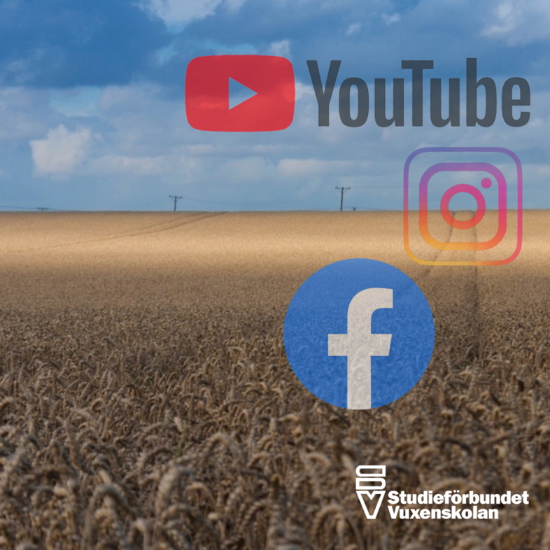 Ett vetefält under blå himmel med logotyper för YouTube, Instagram, Facebook och Studieforbundet Vuxenskolan.