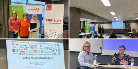 Fyra bilder från en konferens om funktionsrätt med talare, deltagare och presentationer i ett mötesrum.