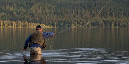 En person står i vattnet och flugfiskar vid en sjö med skogsklädda berg i bakgrunden.