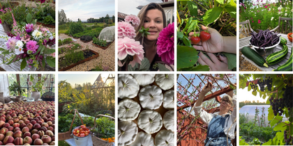 Ett collage med bilder från en trädgård: blommor, grönsaksodling, frukt, bär och skörd.