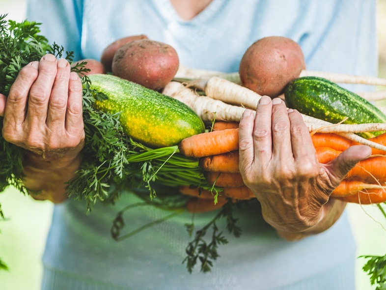 En person håller en stor bunt färska grönsaker, bland annat morötter, gurka och potatis, i famnen utomhus.