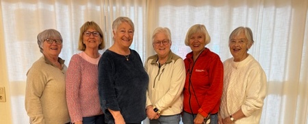 Sex äldre kvinnor står i rad och ler framför ljusa gardiner inomhus.