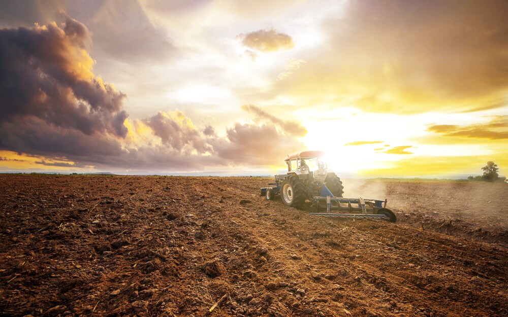 En traktor plöjer en åker vid solnedgången under en dramatisk himmel.