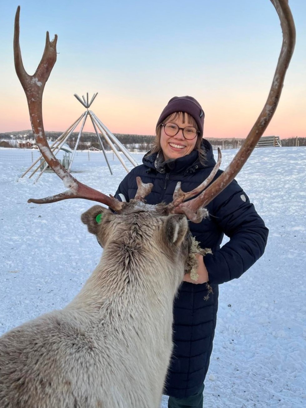 Person i vinterkläder matar en ren med stora horn utomhus i ett snöigt landskap vid solnedgång.