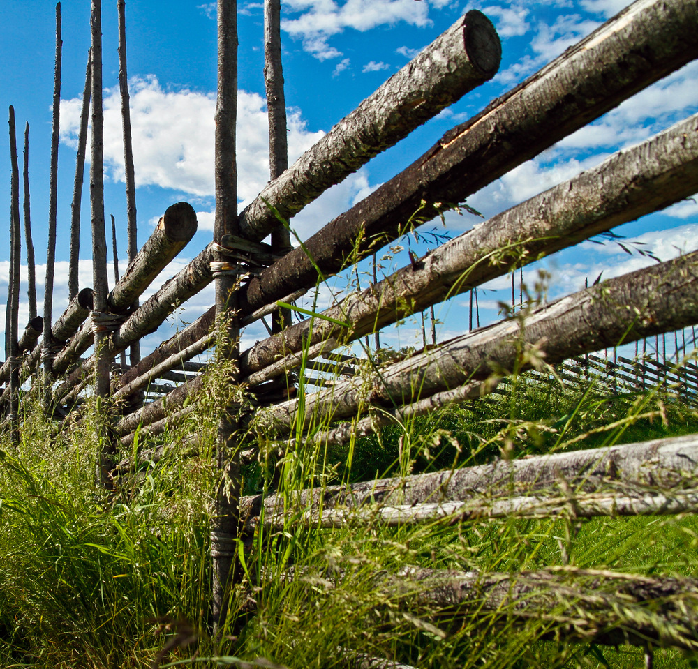 En traditionell trästaket av rundstockar i en grön äng under blå himmel med vita moln.