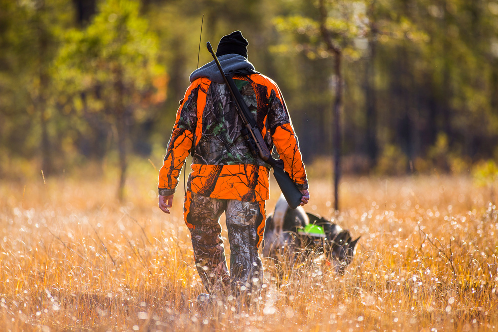 En jägare i orange kamouflagejacka går genom ett fält med en hund i koppel.