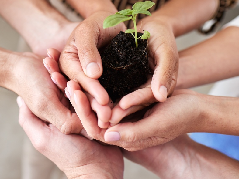 Flera händer håller tillsammans en liten planta med jord, symboliserar samarbete och hållbarhet.