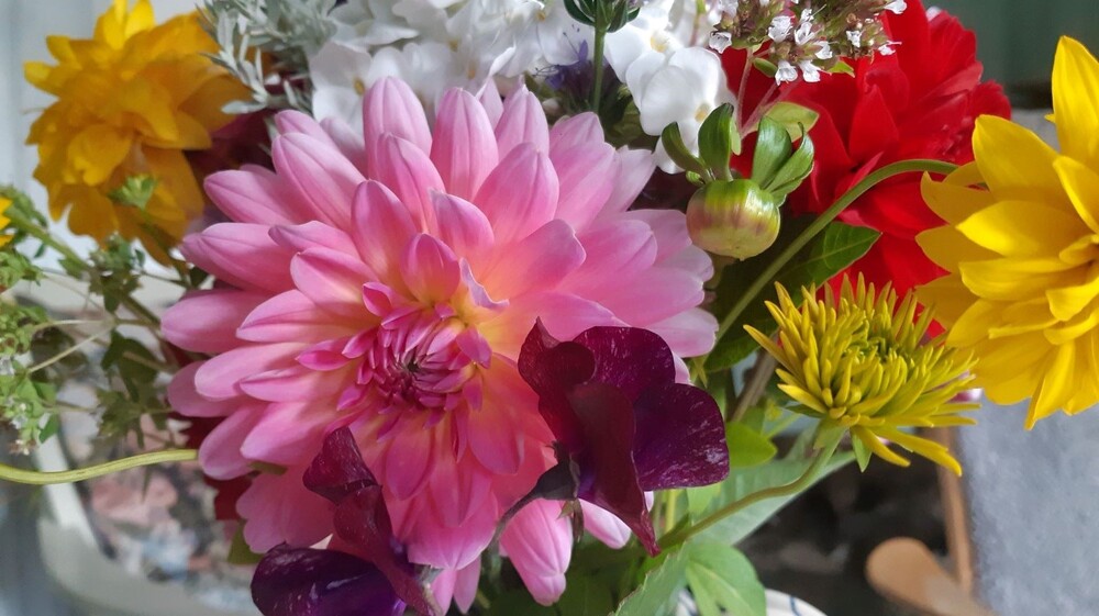 En bukett med färgglada blommor, inklusive rosa, gula och röda blommor, i närbild.