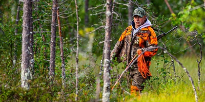 En jägare i orange och kamouflagekläder går med gevär genom en grön skog.