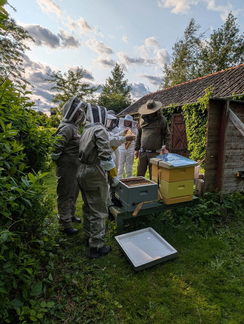 Flera personer i skyddsdräkter undersöker bikupor utomhus vid en grönskande trädgård och ett skjul.