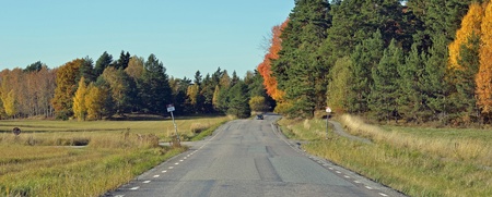 Landsväg som leder genom ett öppet landskap med skog och höstfärgade träd under klarblå himmel.