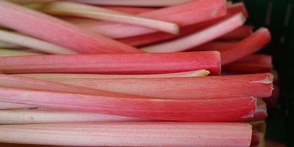 Närbild av flera rosa och röda rabarberstjälkar staplade på varandra.