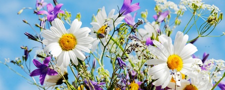 En bukett med färgglada sommarblommor, bland annat prästkragar och blå klockor, mot en blå himmel.