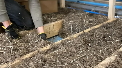 En person lägger in isolering av halm eller naturmaterial mellan träbjälkar i ett golv.
