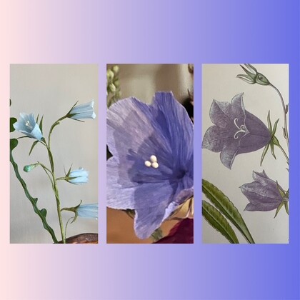 Tre bilder av blå klockblommor, en riktig, en konstgjord och en tecknad, mot en gradient bakgrund.