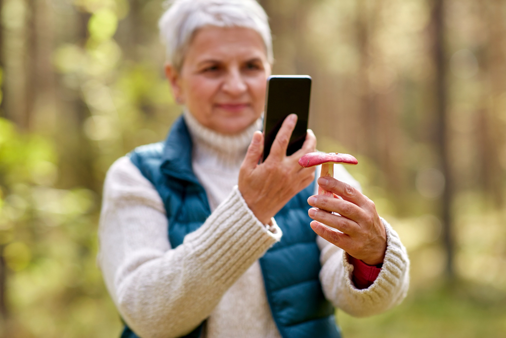 Äldre kvinna fotograferar en svamp med sin mobiltelefon i en skog.