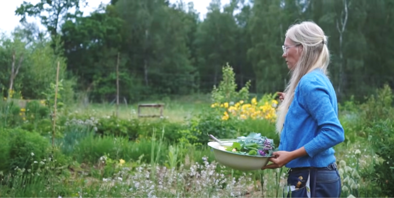 Workshop i Skogsträdgården - Föröka ätliga perenner