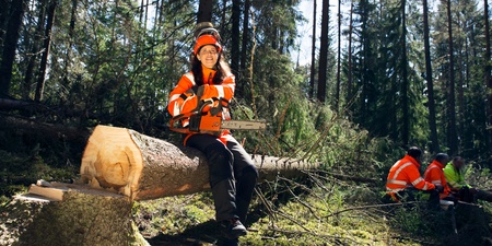 En person i orange skyddskläder sitter på en fälld trädstam i en skog med en motorsåg i händerna.
