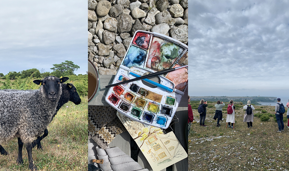 Tre bilder: en får på äng, ett akvarellset med skiss, och en grupp människor som vandrar på en kust.