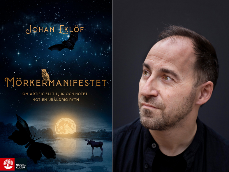 Bokomslag till 'Mörkermanifestet' av Johan Eklöf med nattmotiv, fladdermus, uggla, fjäril och älg.