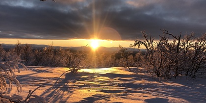 Solnedgång över ett snötäckt landskap med träd och långa skuggor under en dramatisk himmel.