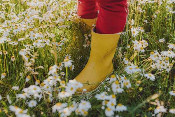 Närbild på ben i ett par gula gummistövlar och röda byxor som står i en äng full av prästkragar.