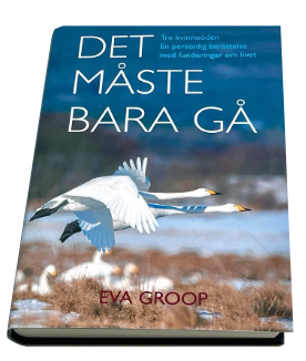 Bokomslag till 'Det måste bara gå' av Eva Groop med två flygande svanar över ett landskap.