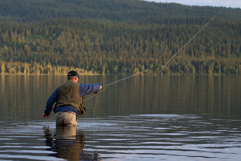 En person står i vattnet och flugfiskar vid en sjö med skogsklädda berg i bakgrunden.