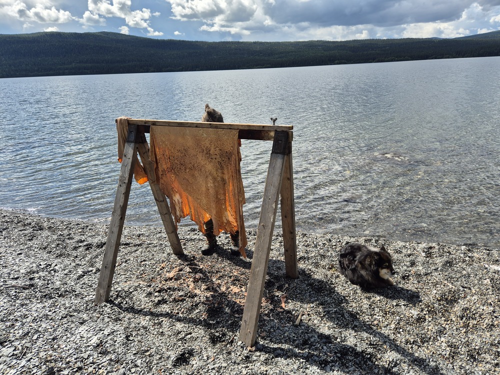 Ett djurhud spänns upp på en träställning vid en sjöstrand med berg i bakgrunden.