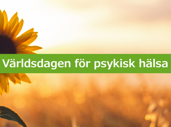 En solros i motljus på en åker med texten 'Världsdagen för psykisk hälsa' över bilden.