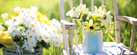 En gammal trästol står på en gräsmatta med en kanna och en hink fyllda med vita och gula blommor.